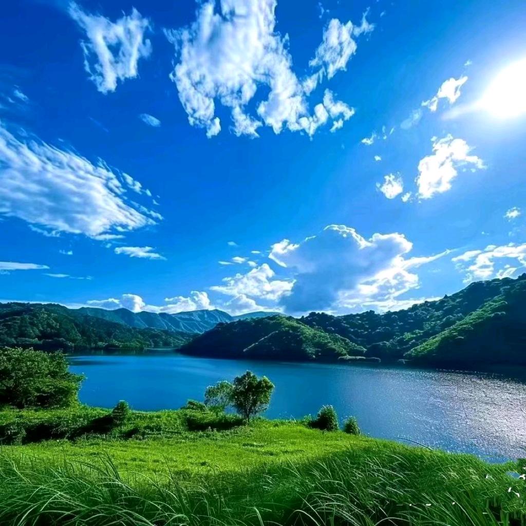 ✨✨✨用户沙漠🏜️