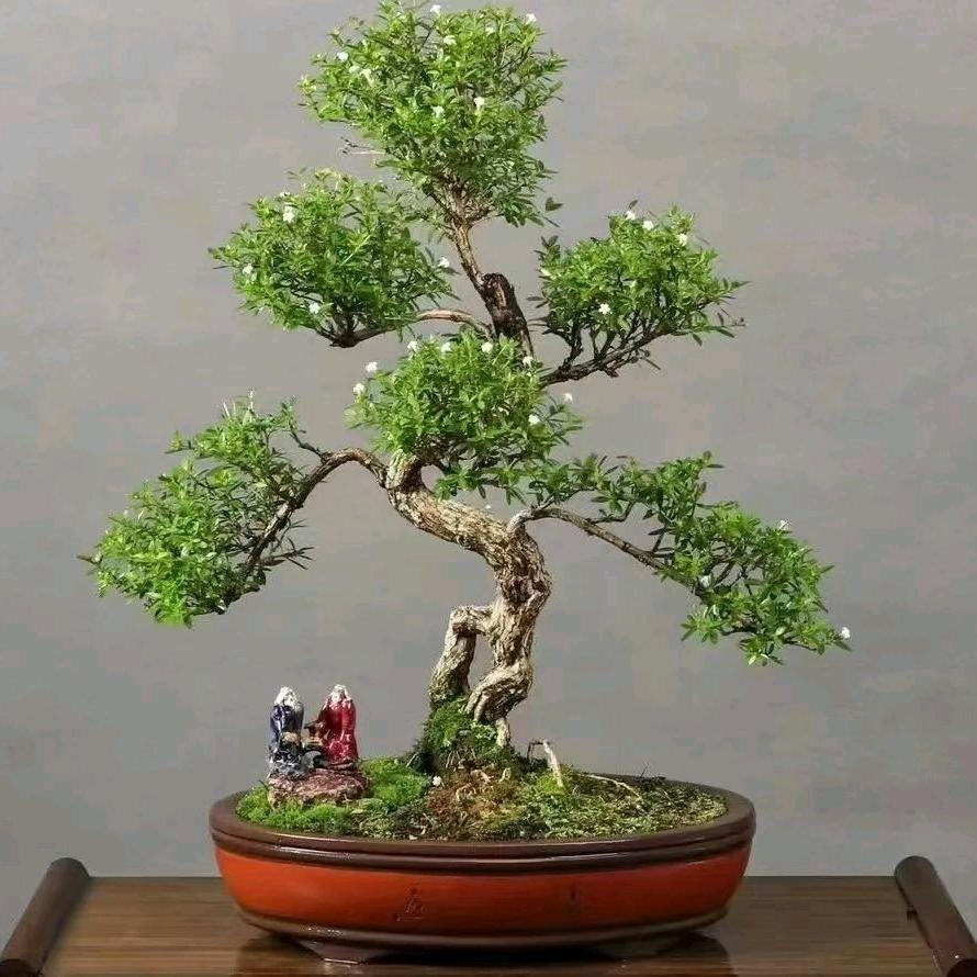 改变