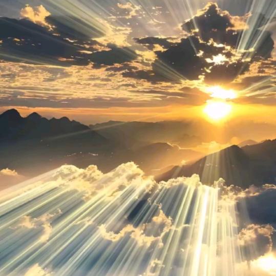 栩栩鱼🐟🐟🐟