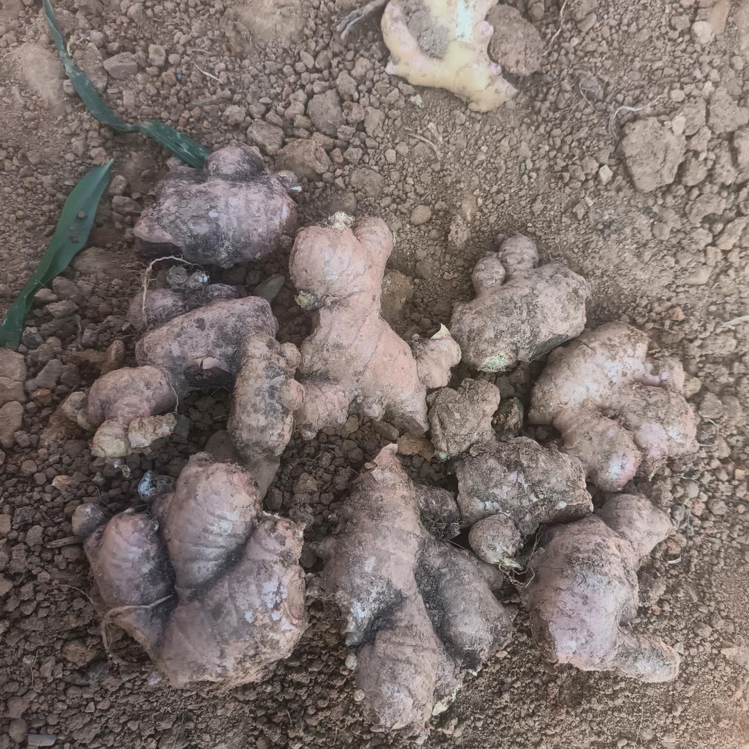 爱无极限大业有方圆