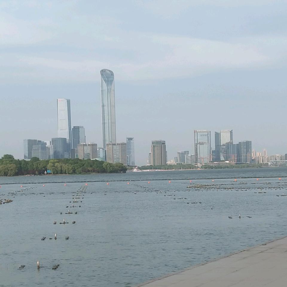 忘记一个人很难