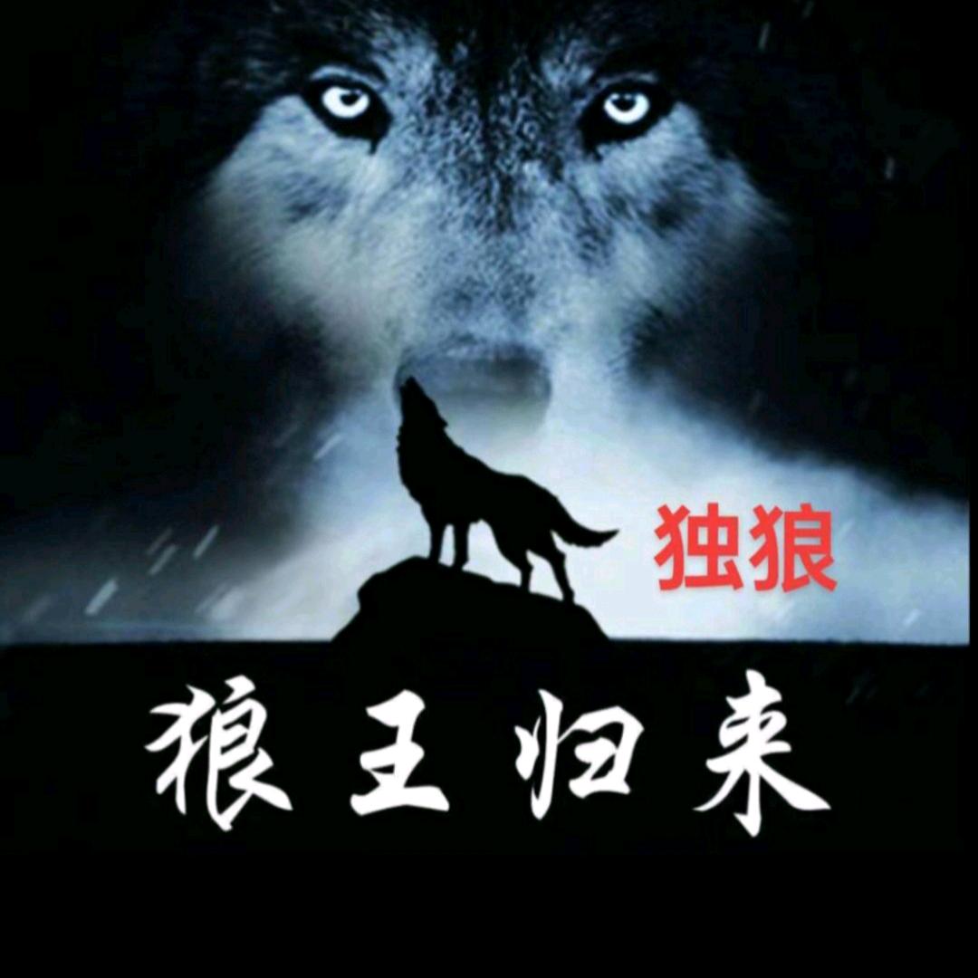 独狼110