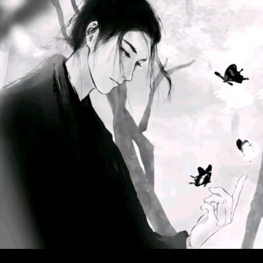 晨汐