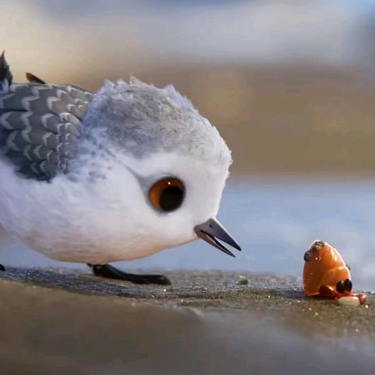 固安宋府王婆大虾牛蛙锅