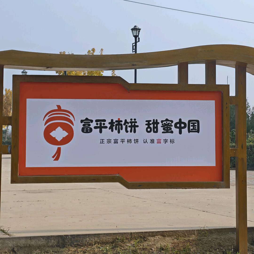 富平柿饼陕西特产