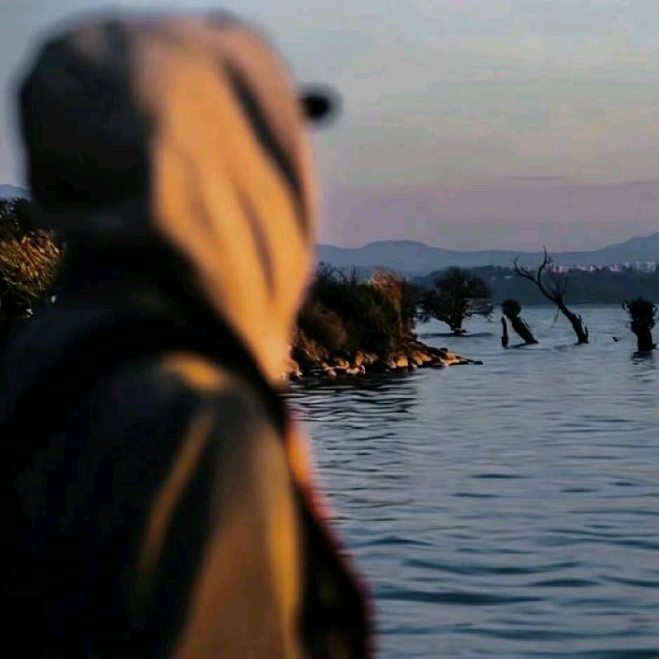 喜之郎٩( 'ω' )و