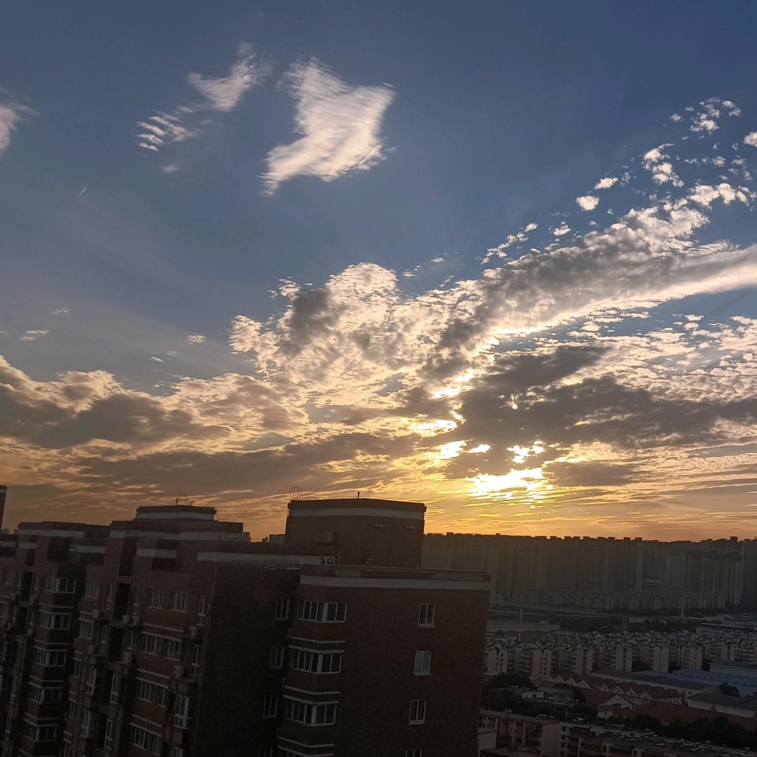 学理爱文的儒生