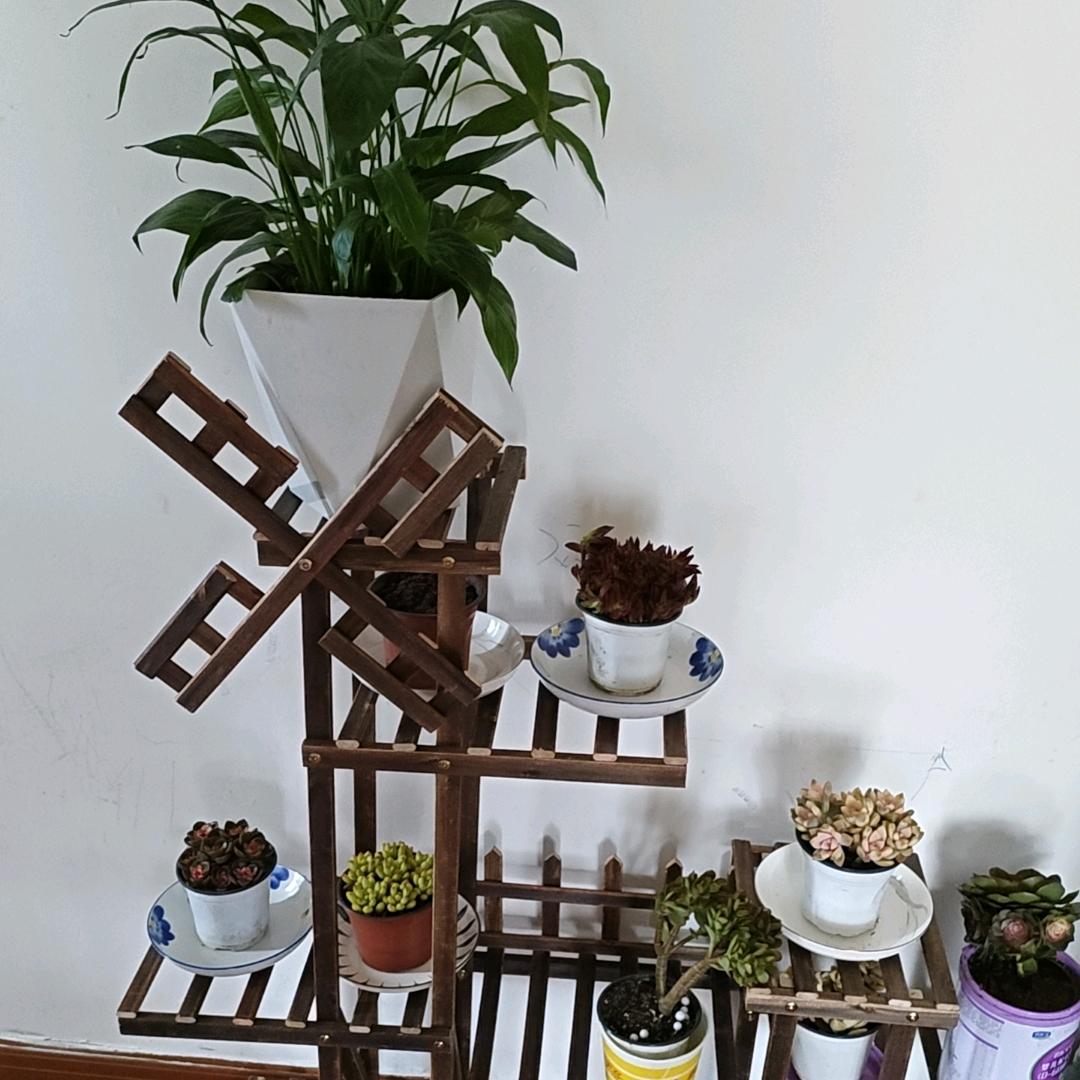 人生好比一场梦