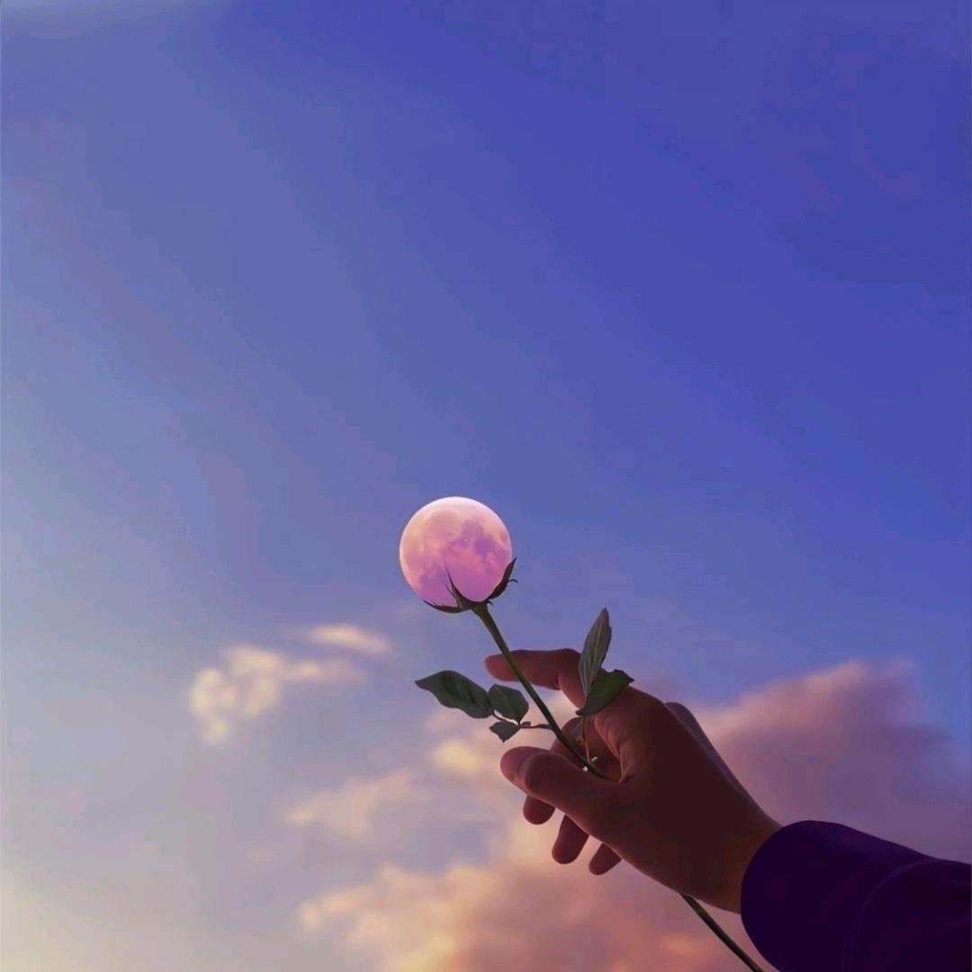 璐先森