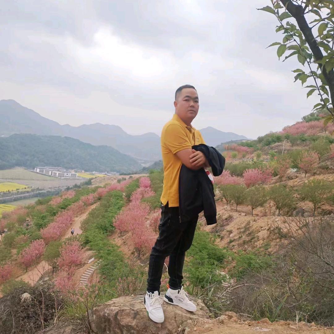 您的