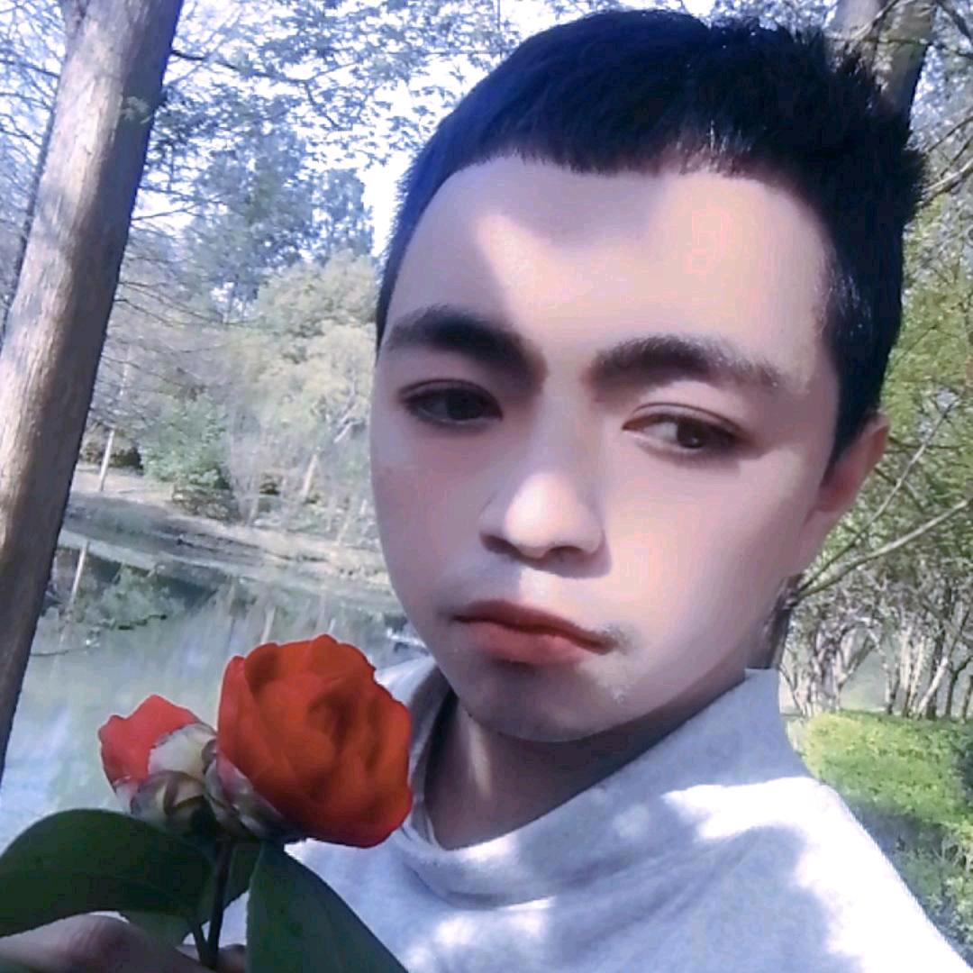疯狂的我不是一朵泪花。
