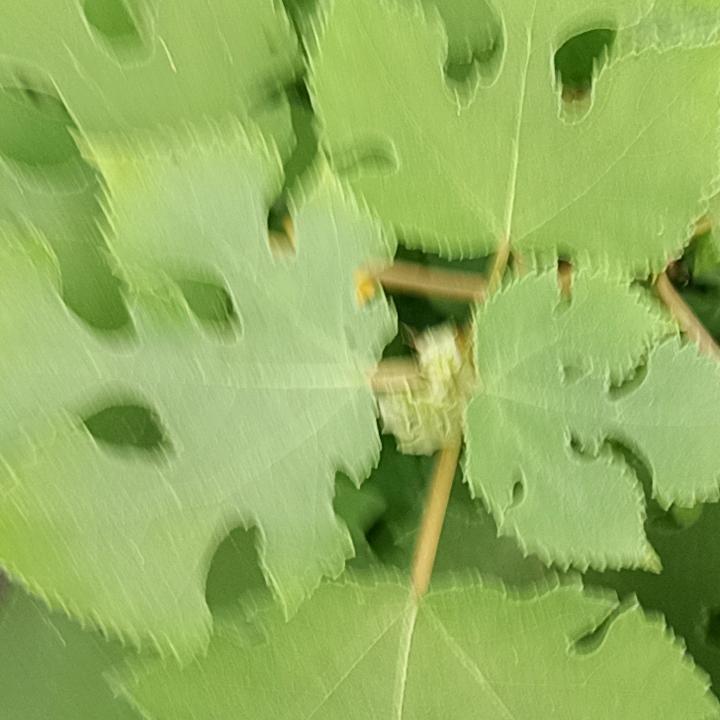 清醒