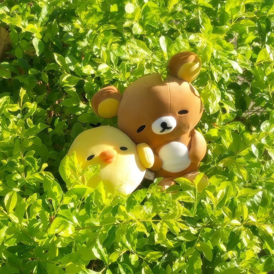 🍋