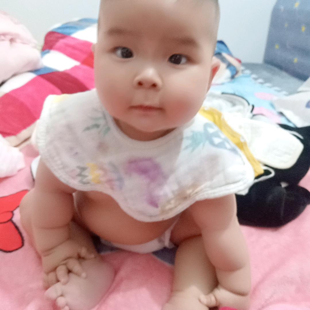 芬姐