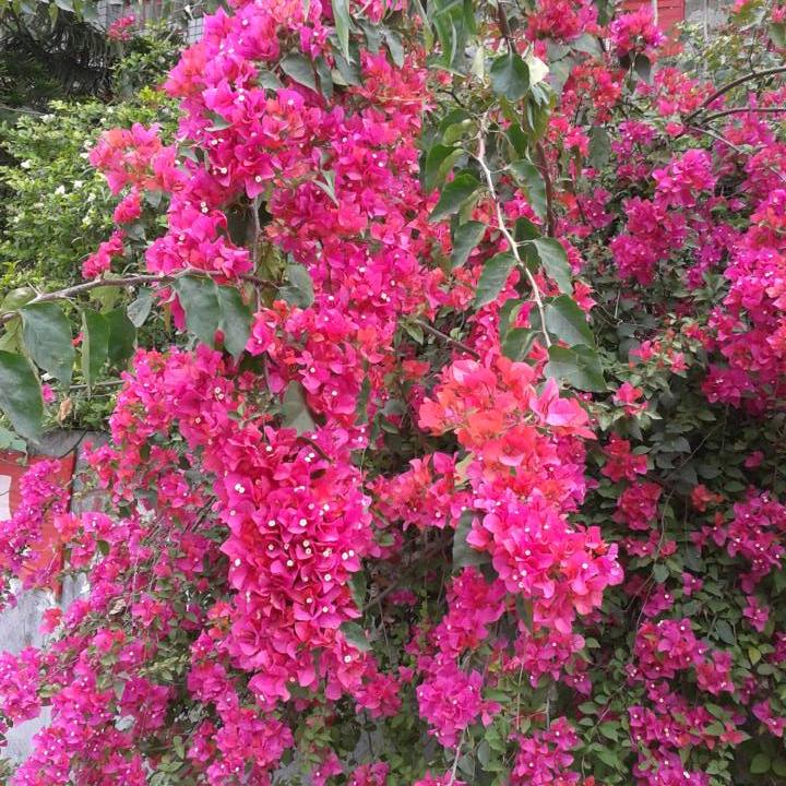 ꧔一ღ💕 ᭄ꦿ切᭄ღ随缘💞᭄