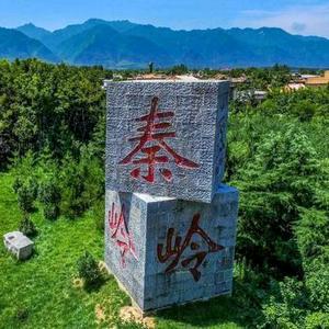 秦百草特产