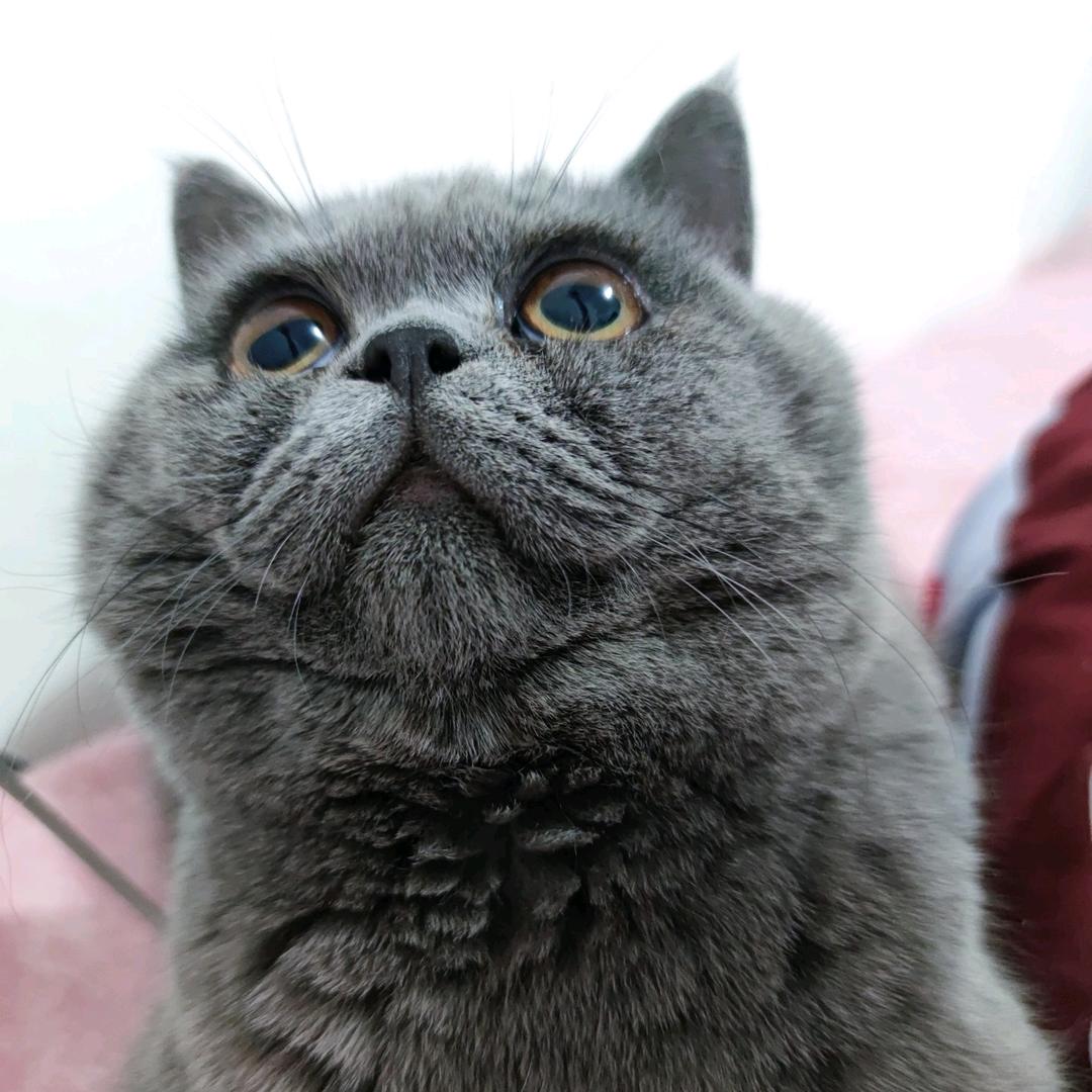 🎀重启დ