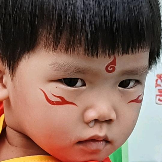 林类