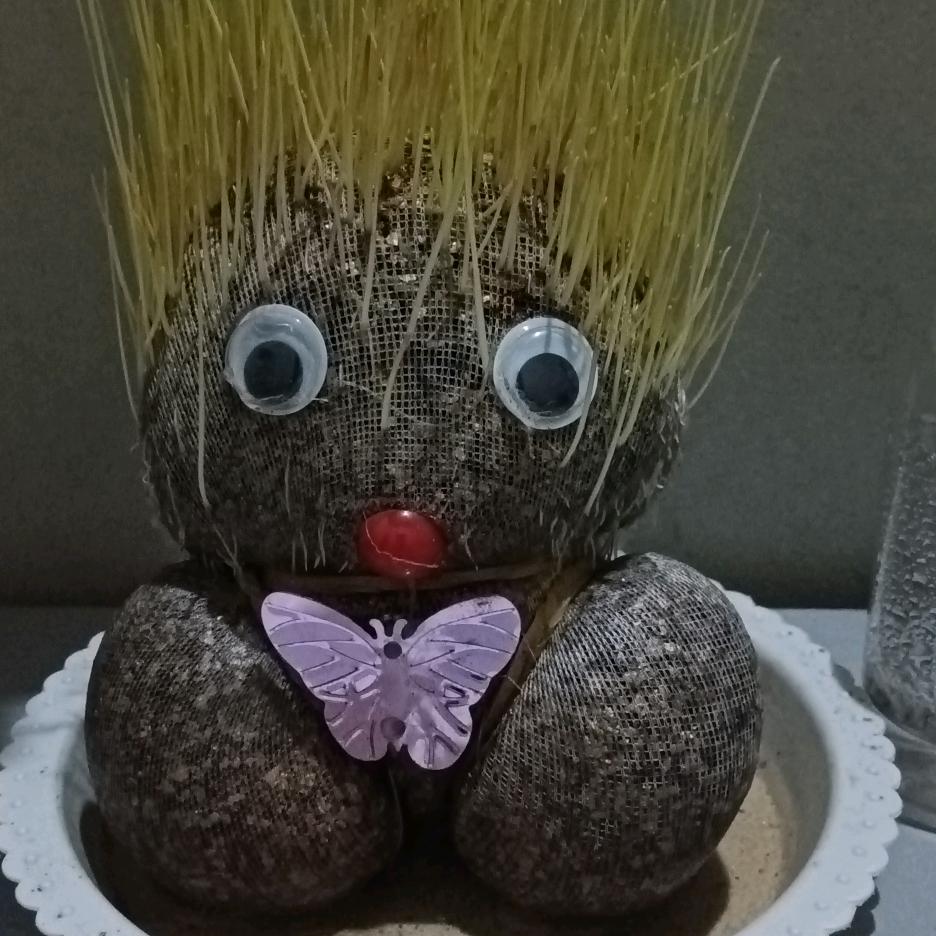 小乌龟