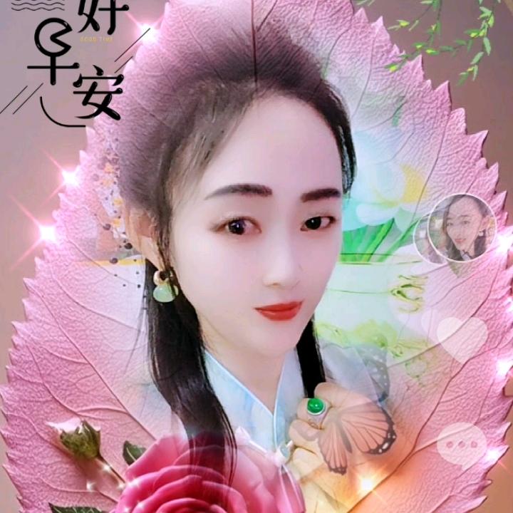 蒲公英。