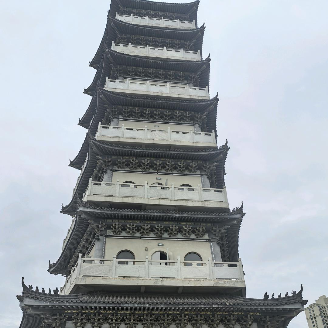 纵饮孤独