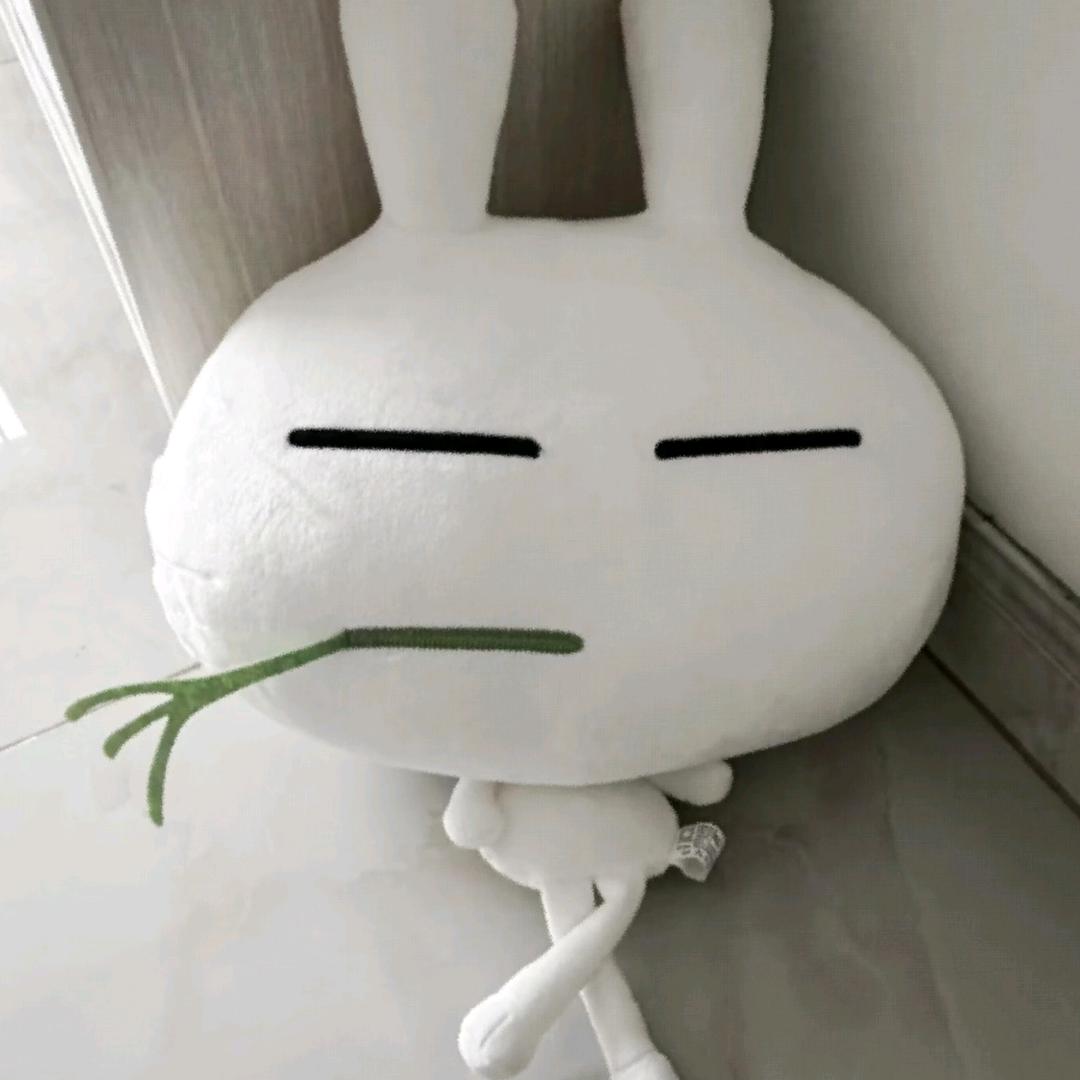 π_π头像