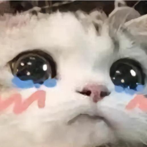 花笺碎