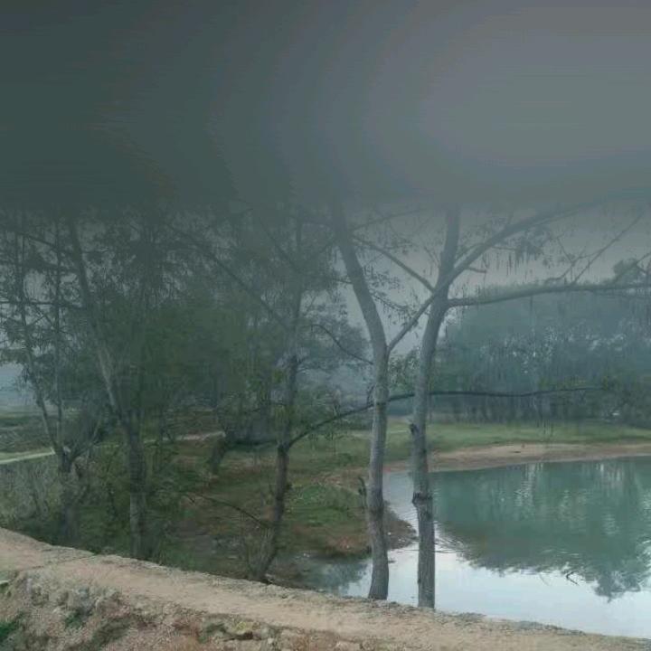 小啊忠