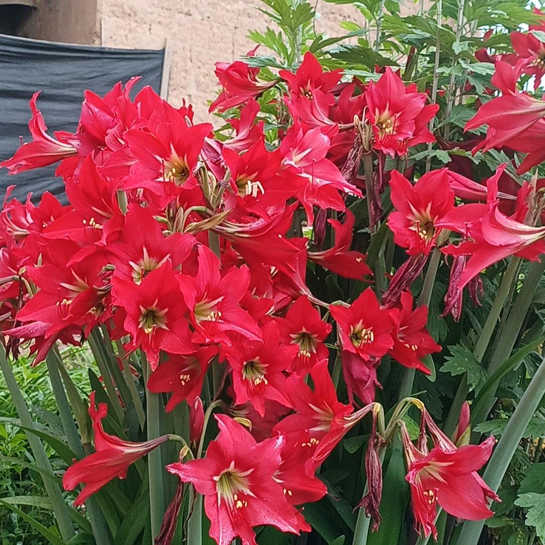 ⭐岁月静好⭐