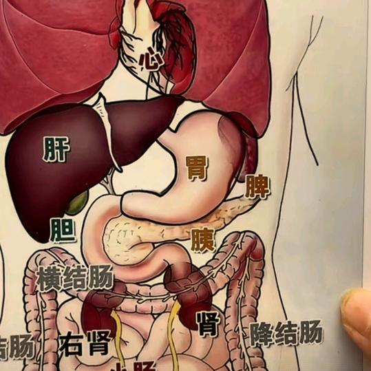 爱你❤️鲁姐帮你