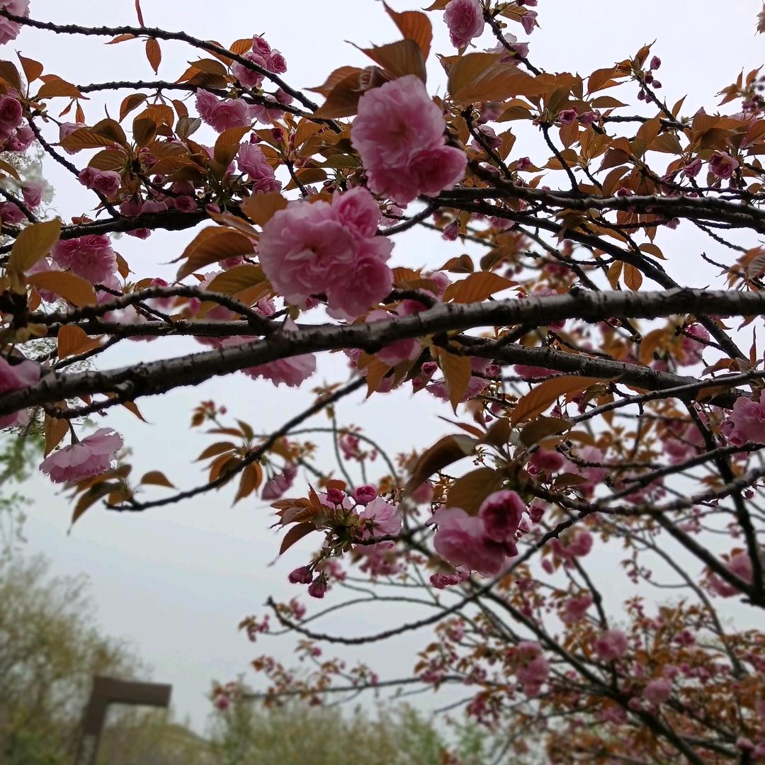 鹤壁叶姐👗👠