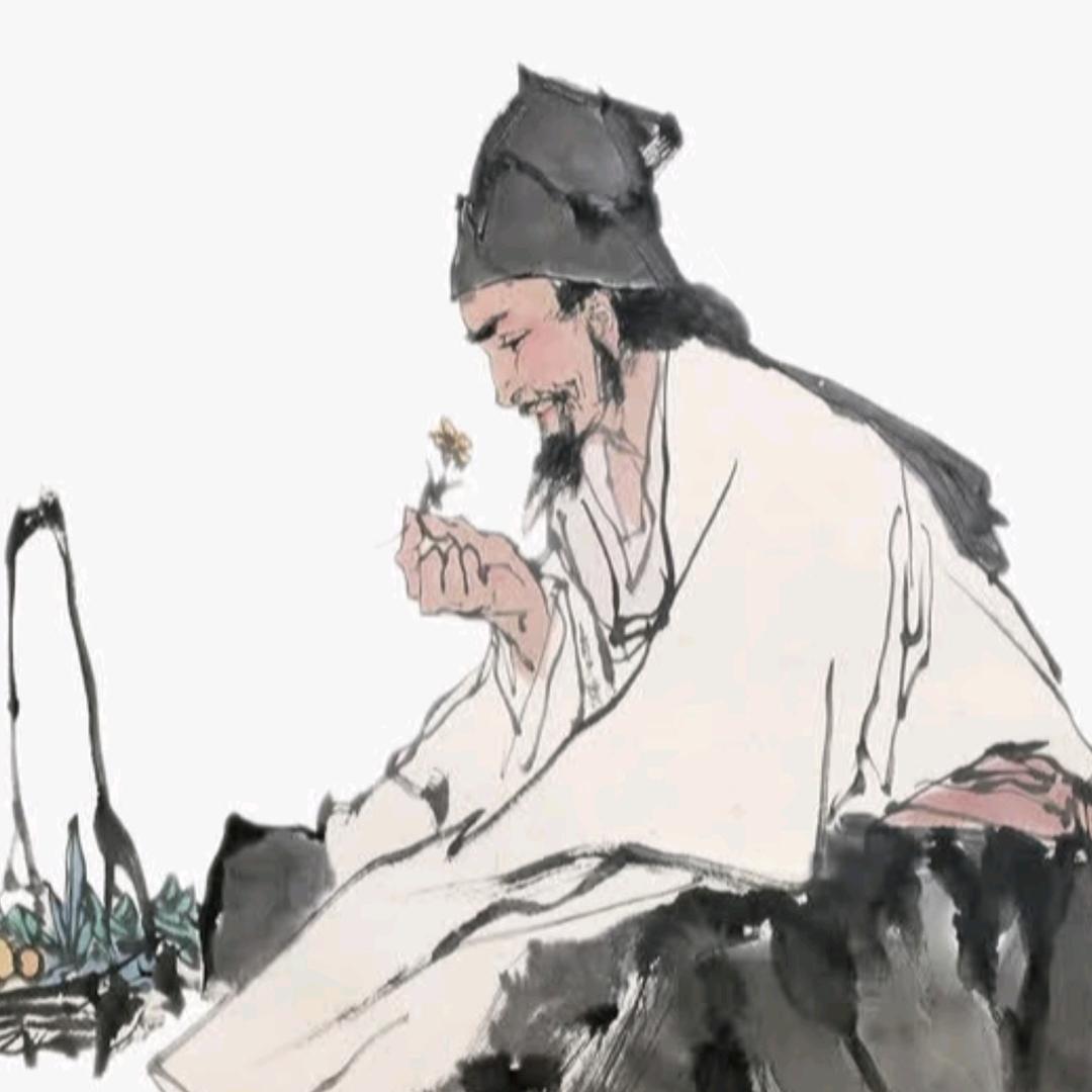 银屑分享日常直播号7