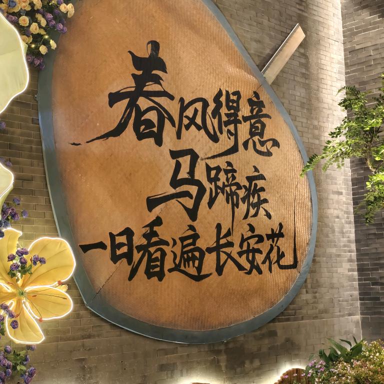 小表弟@