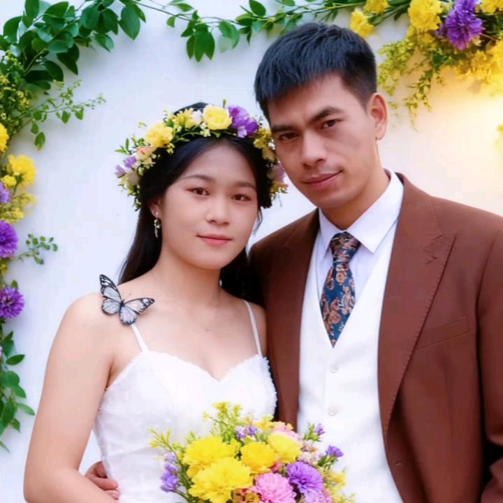 ꧁🌲金柳*☘️꧂