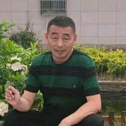 A欢欢