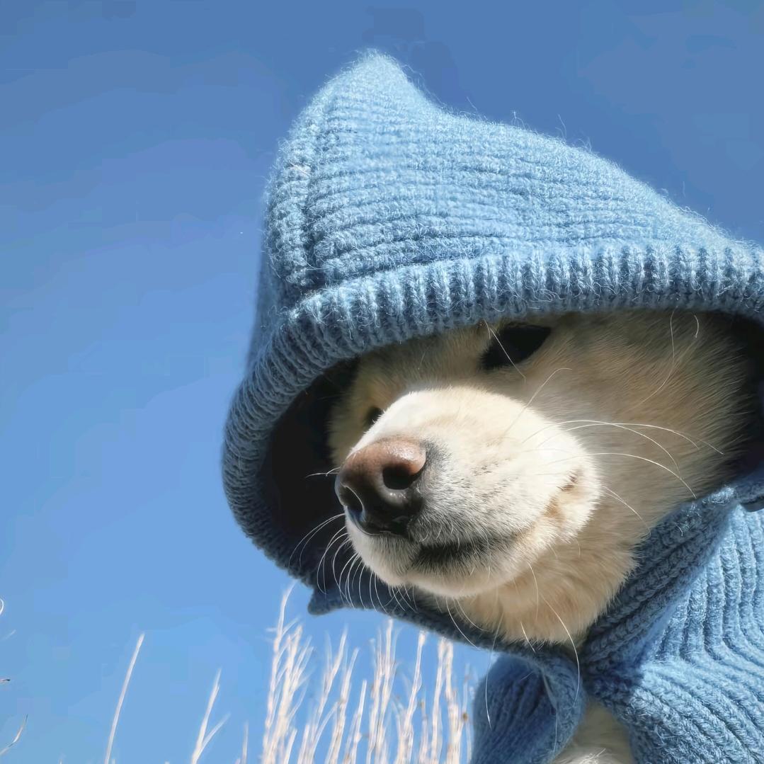 🌈𝓯𝓵𝓸𝔀𝓮𝓻𝓼.