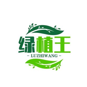 绿植王