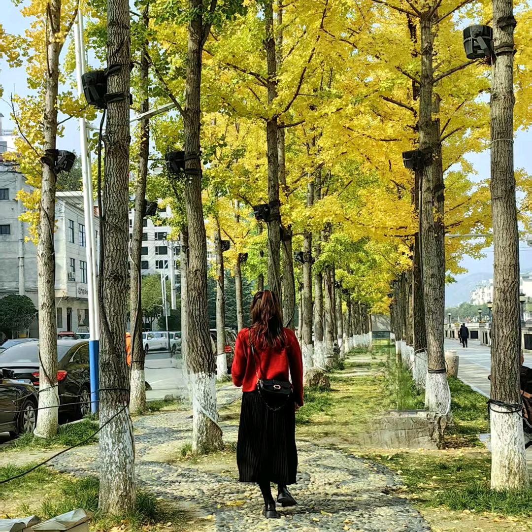 🍄🍄(^.^)👨‍👩‍👧‍👦