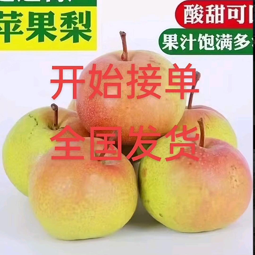 延边松茸、苹果梨☞小斌哥
