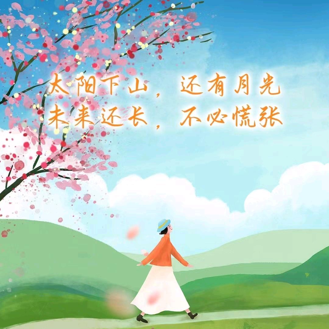 芯芯向荣