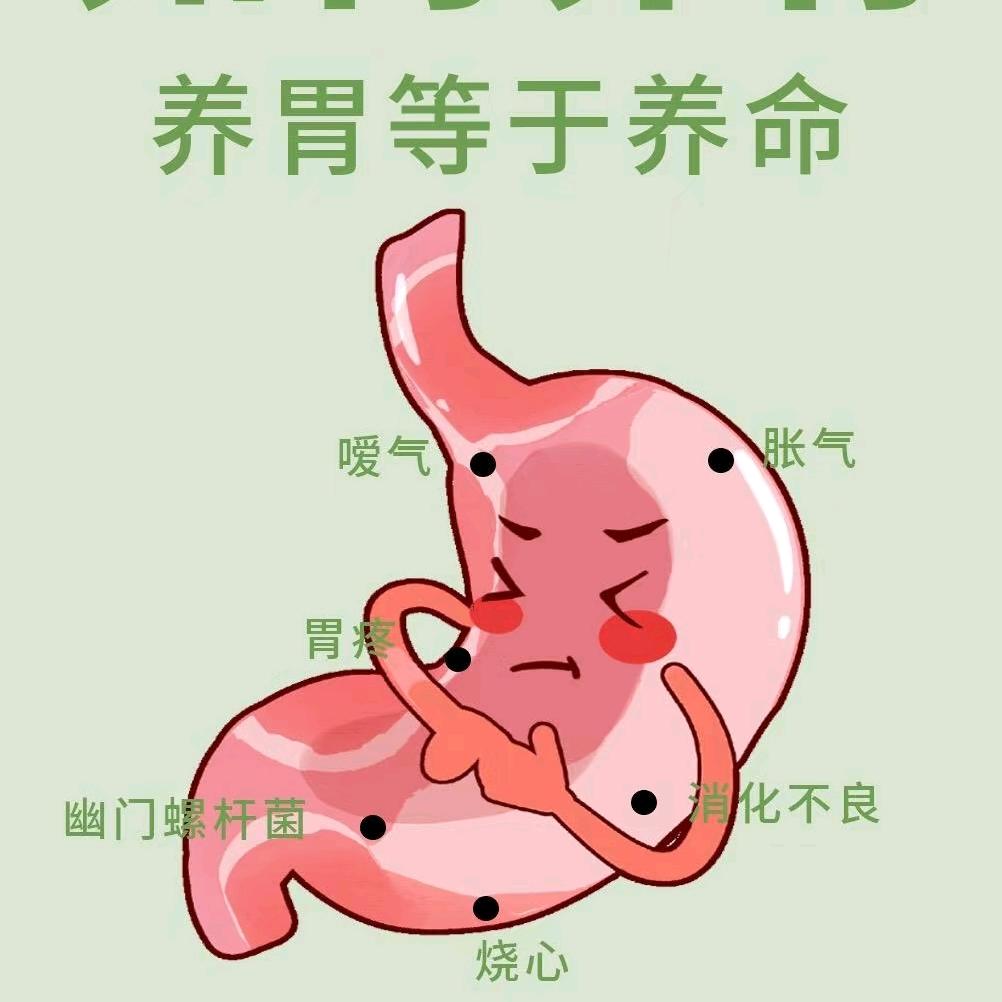 孟老师说脾胃