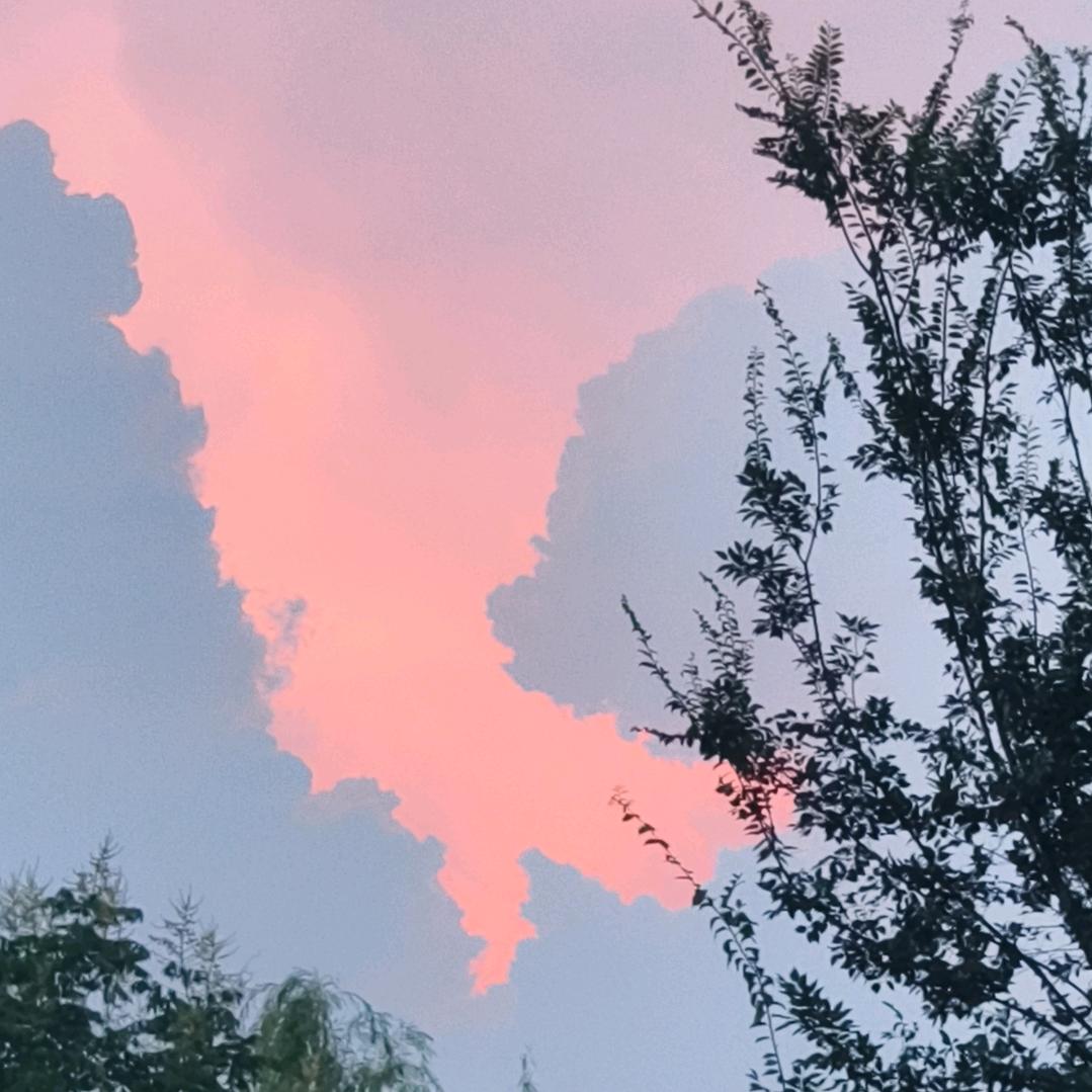 花姐爱生活