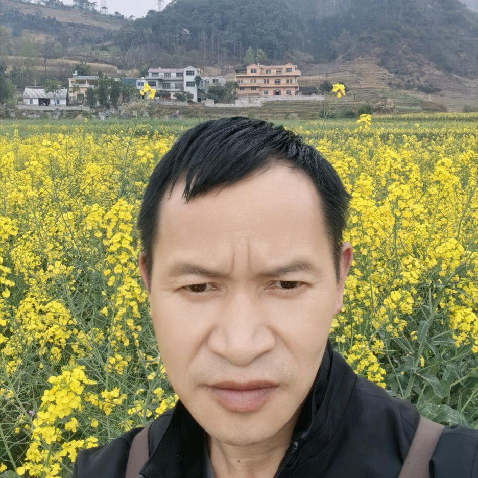 龙山小罗