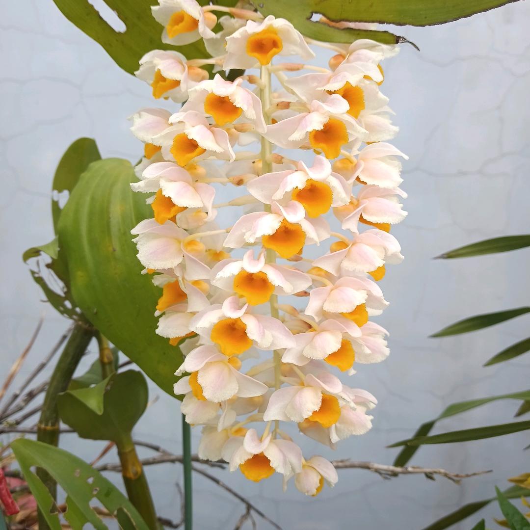 我要从头再来。