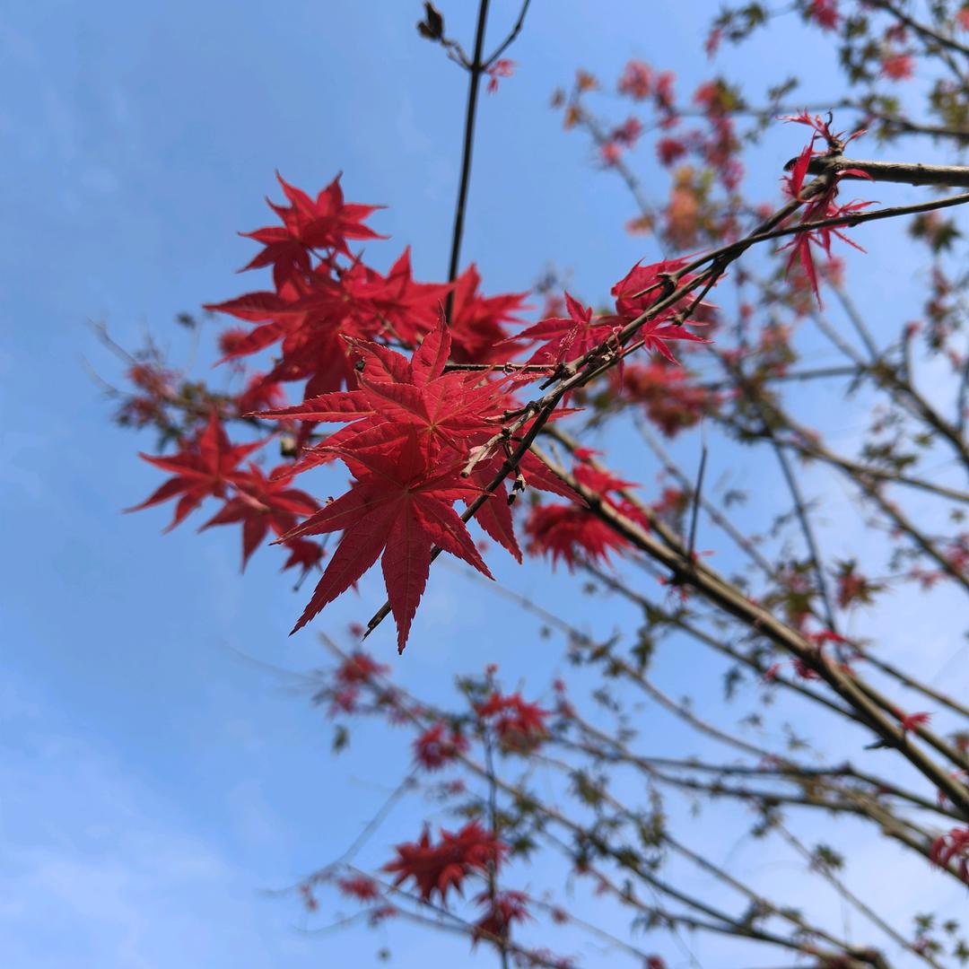 吹个泡泡。