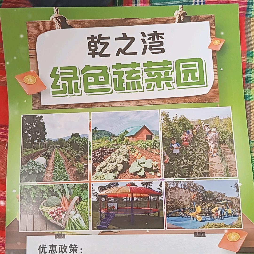 乾之湾菜园招租