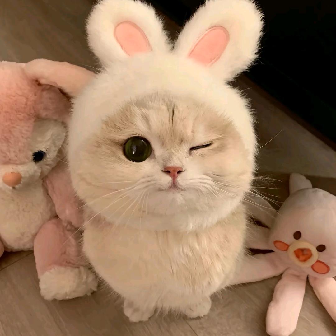 Ssunny.