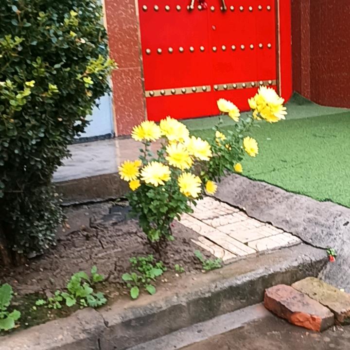 路在脚下