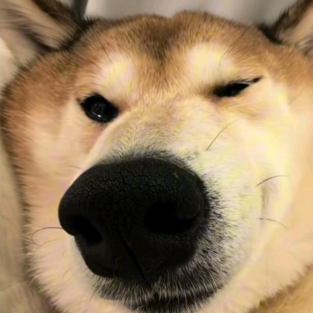 包子