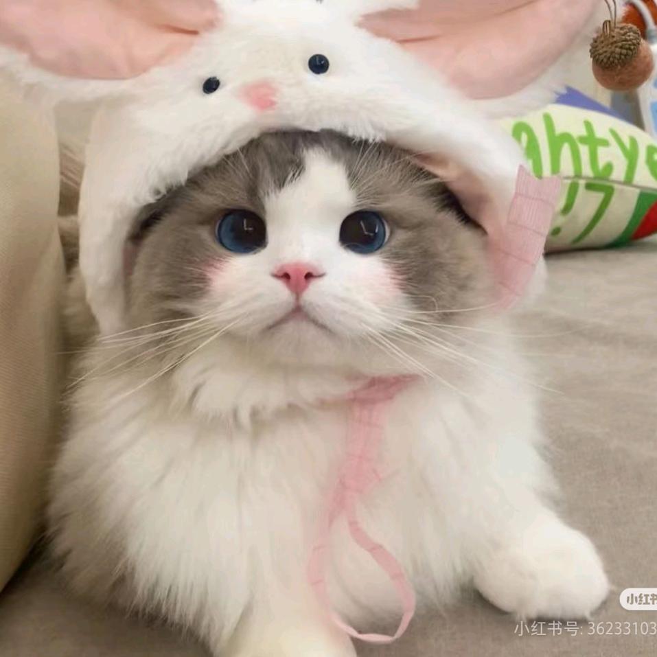 ε(*・ω・)_/゚:・☆